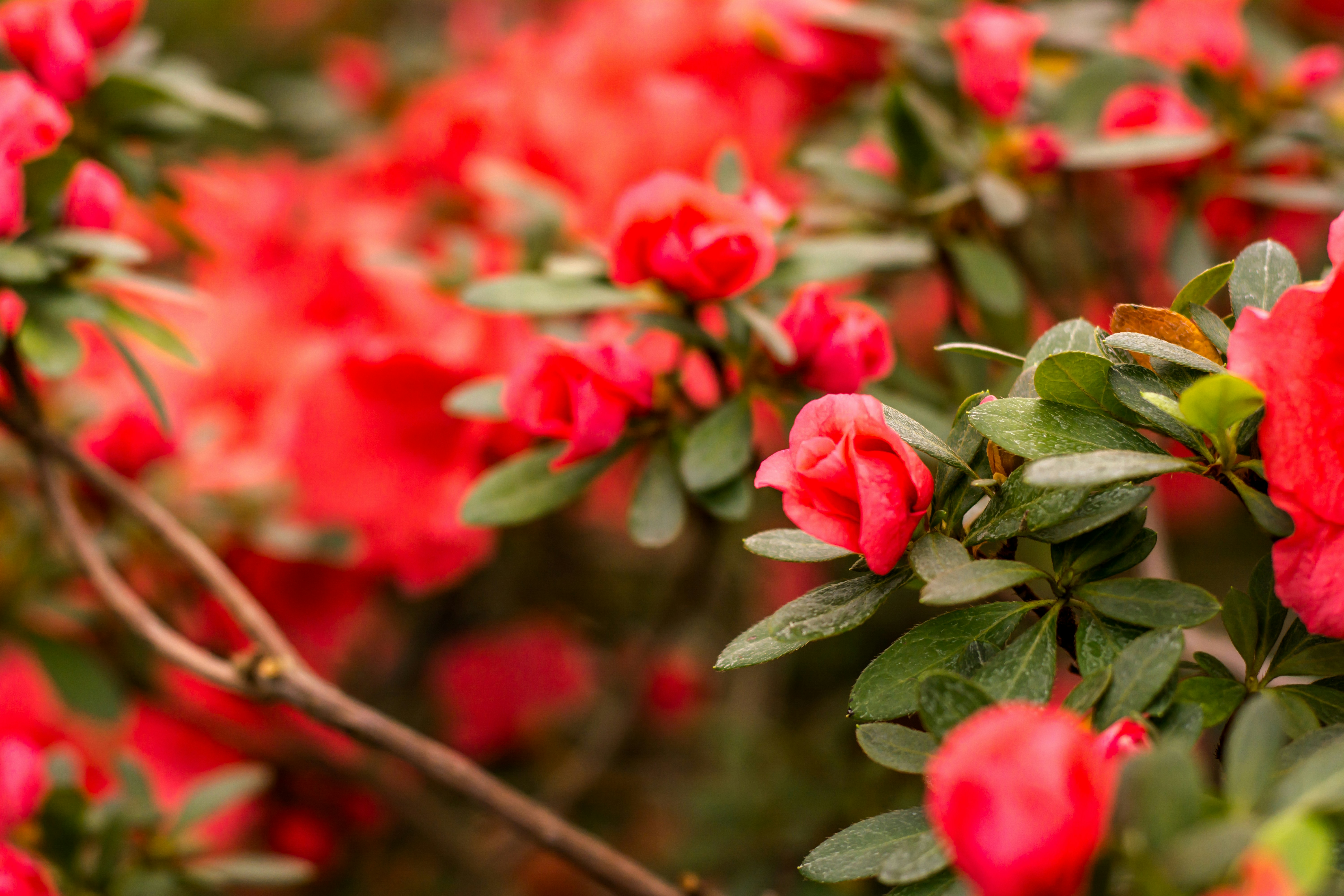 Photo by eugenivy_now