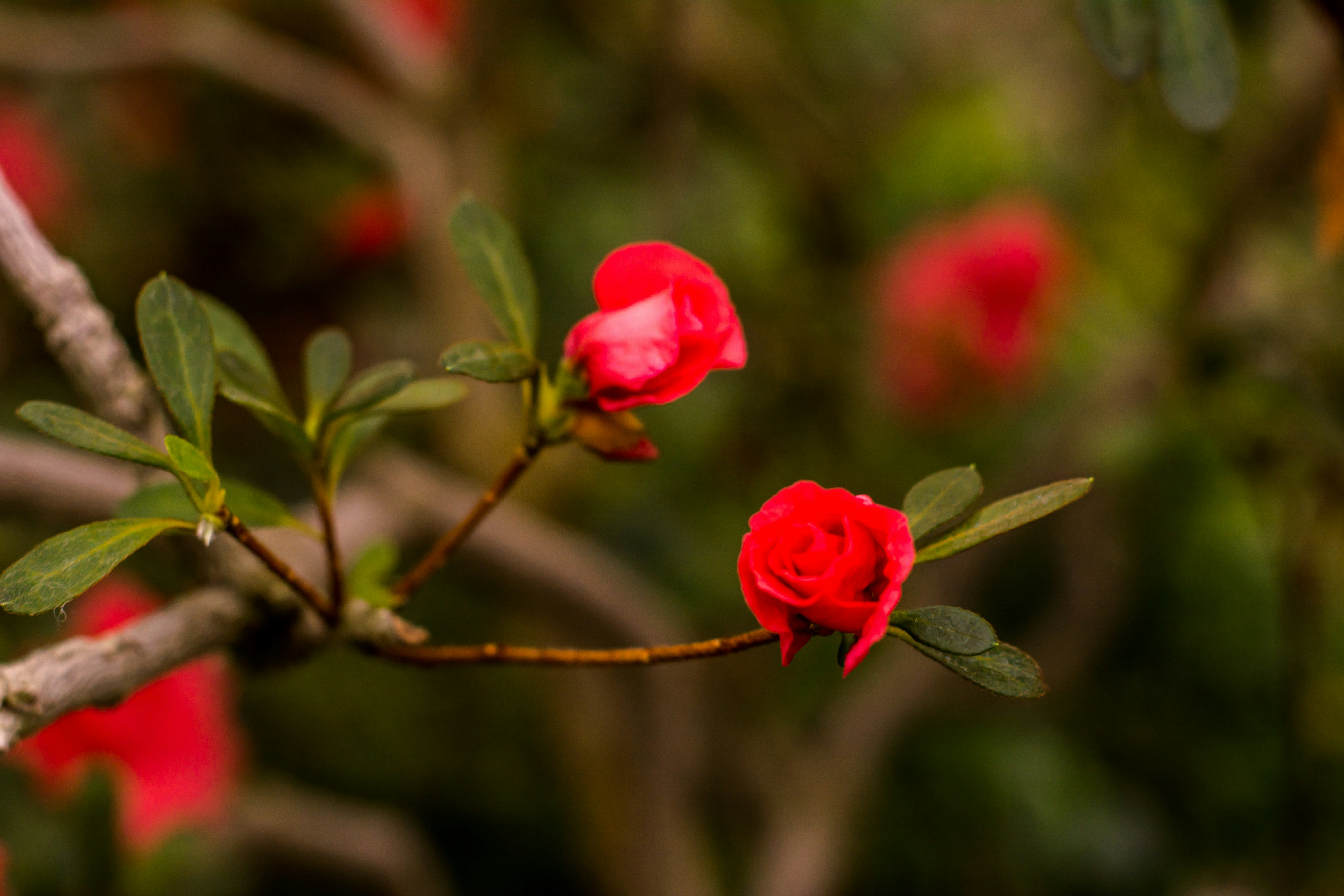 Photo by eugenivy_now