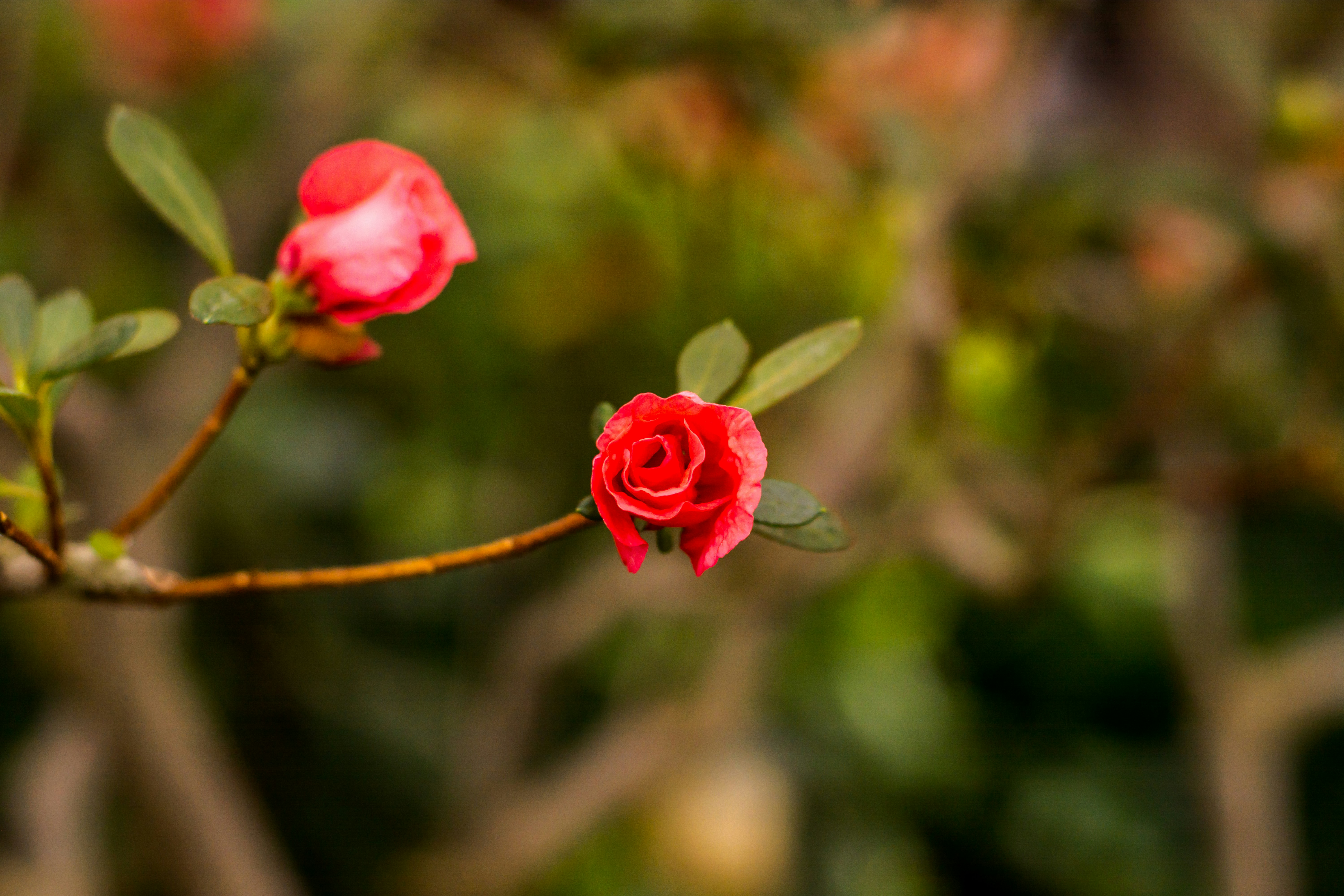 Photo by eugenivy_now