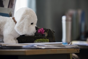 A plush toy dog, resembling a white puppy, is positioned to seem as though it is smelling a small pink flower. The scene takes place indoors with various objects in the background, including a thermos and stacks of paper on a desk.