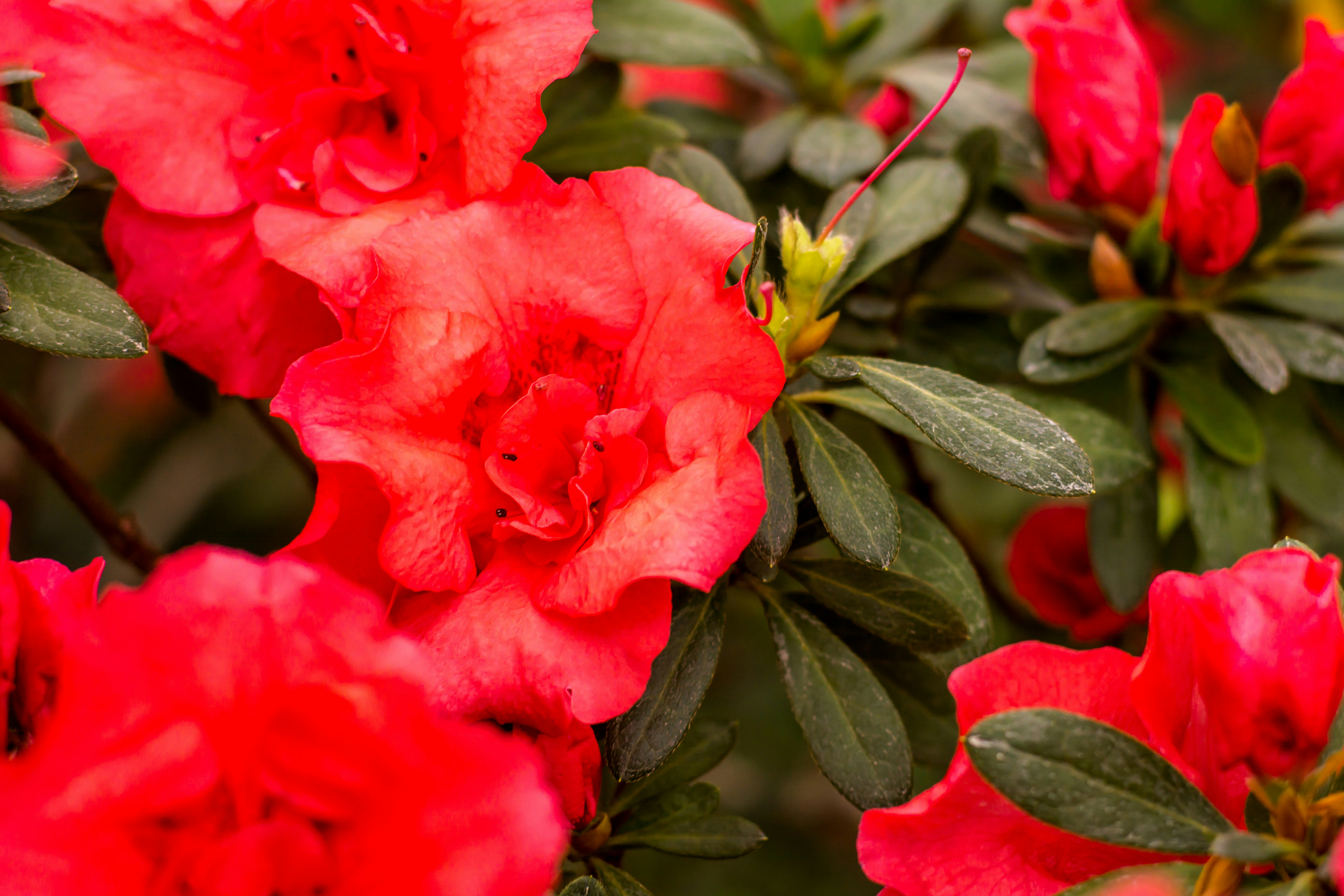 Photo by eugenivy_now