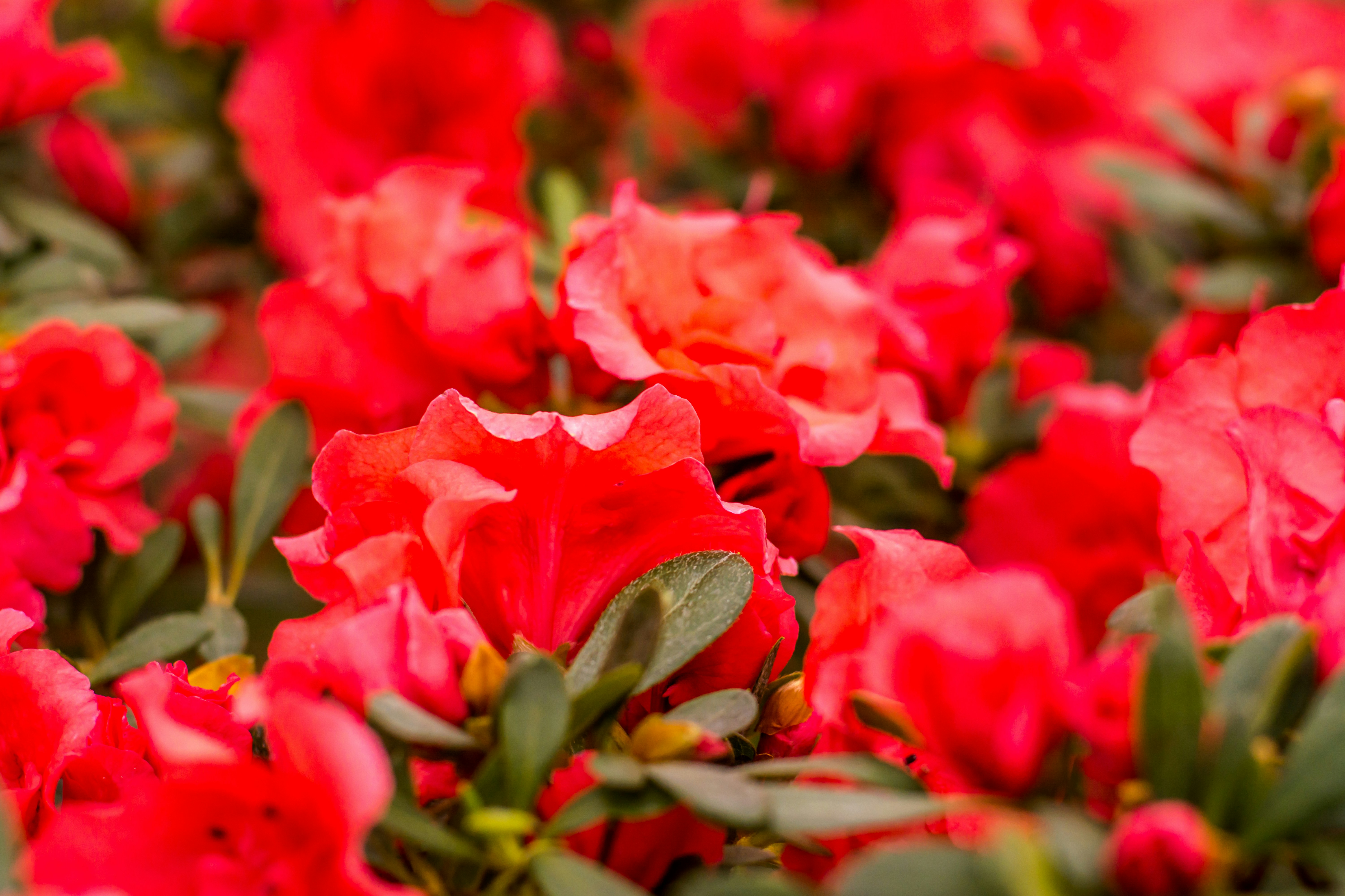 Photo by eugenivy_now