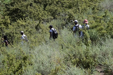 A group trekking through a lush jungle trail with backpacks and hats.