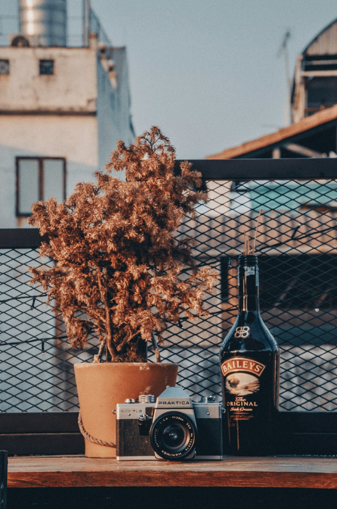 wine bottle beside plant and camera