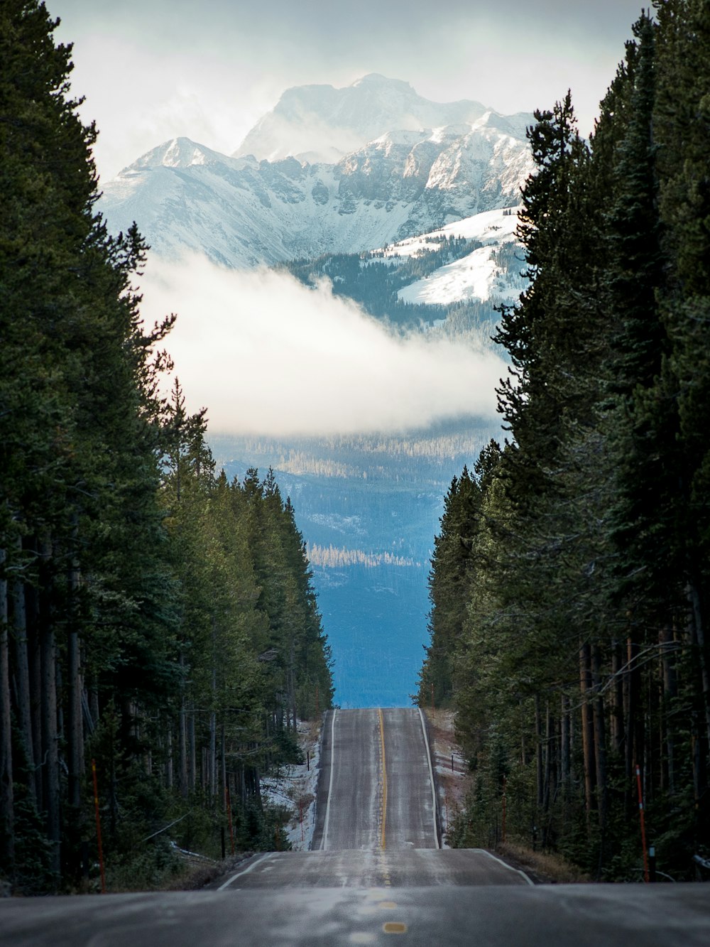 Foto Fotografía de paisaje de carretera recta vacía con líneas de árboles –  Imagen Carretera gratis en Unsplash