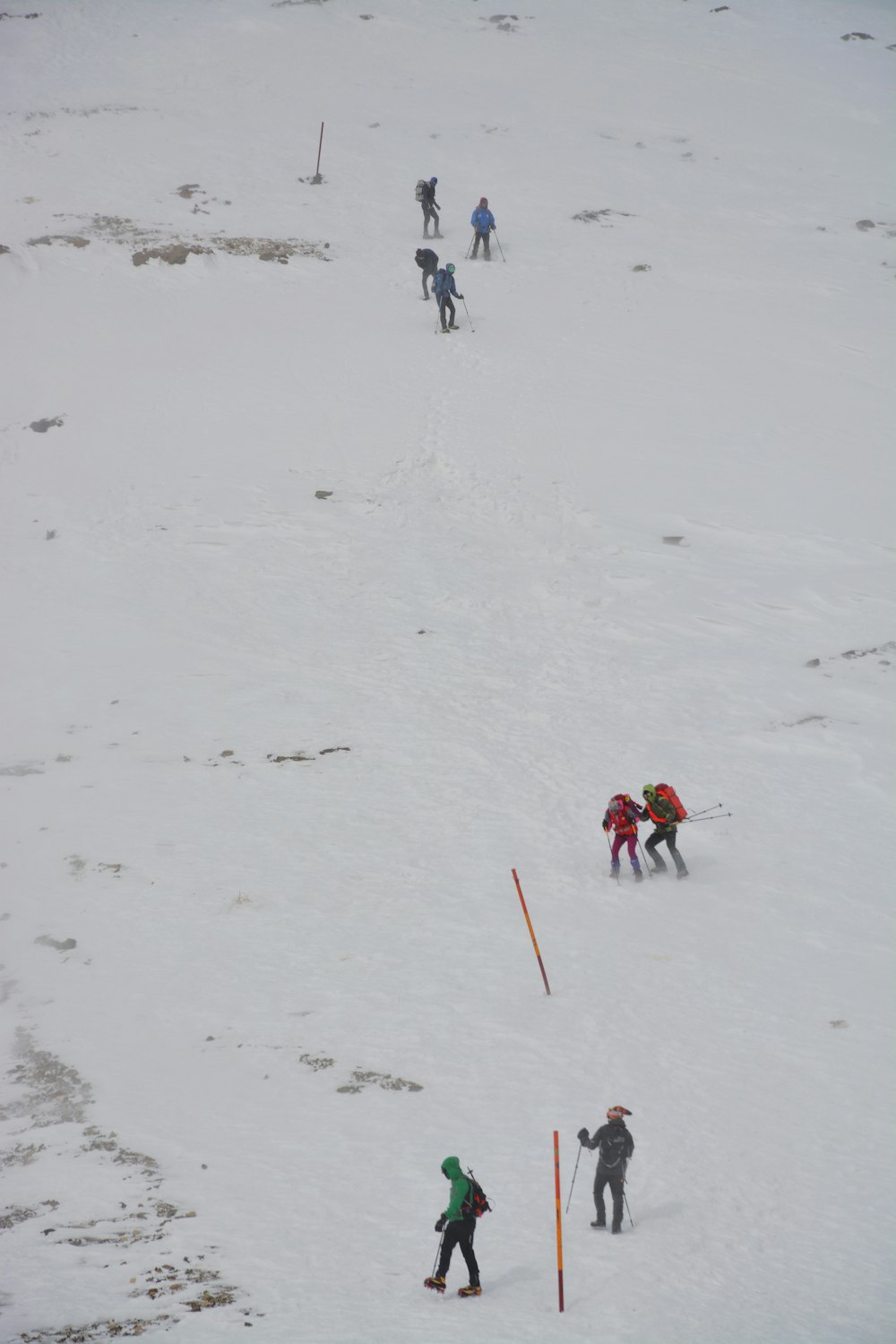 people on white snow covered field