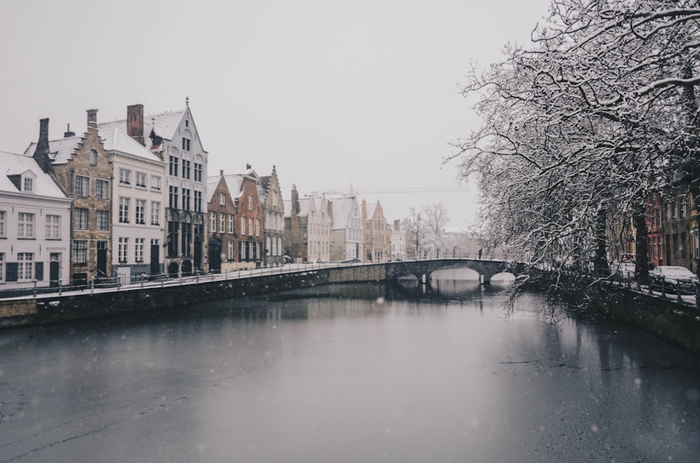 town covered in snow