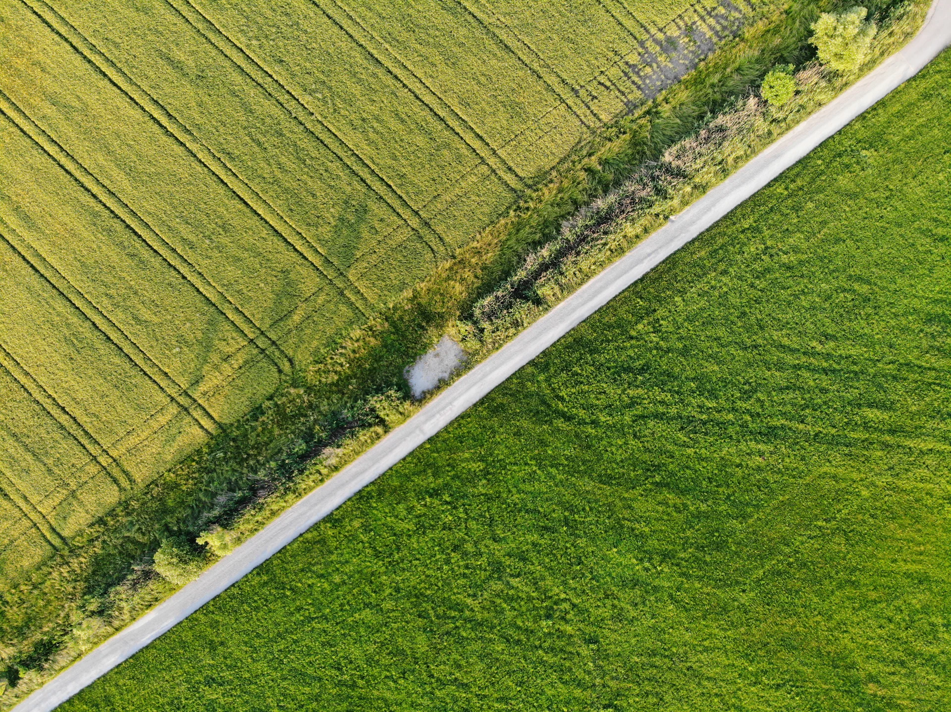 Open green land seen from above