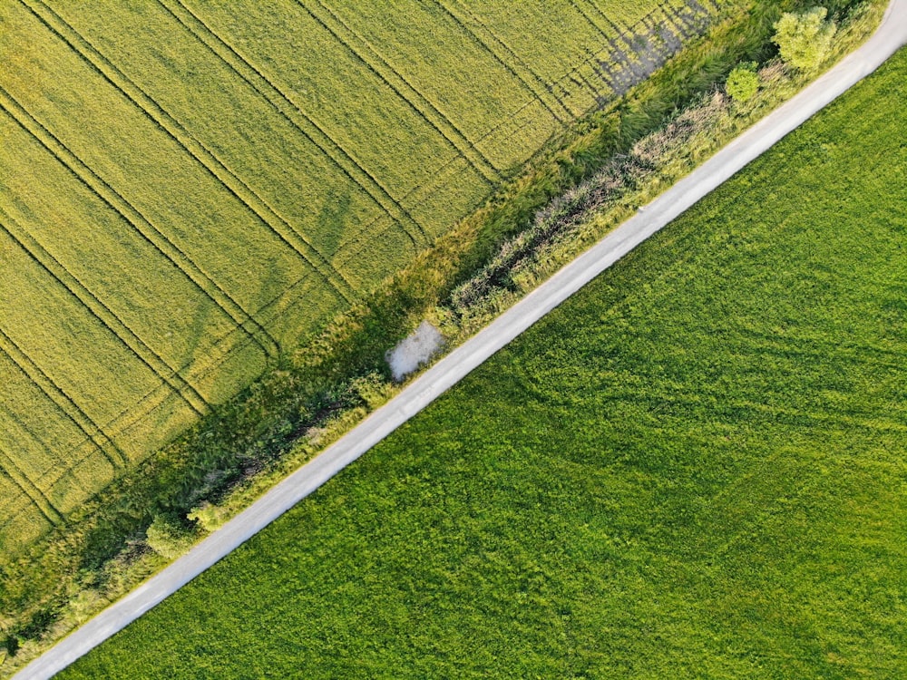 green open field view during daytime