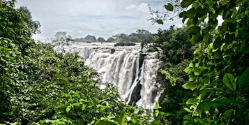 A majestic waterfall cascades dramatically amidst a lush, verdant jungle setting. The water rushes over the rocky cliffs, creating a mist that rises into the air. Thick greenery and trees frame the waterfall, enhancing the sense of a tropical paradise.