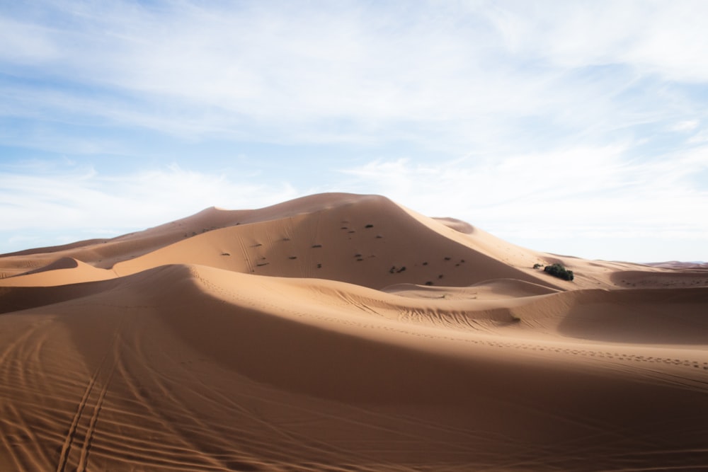 desert mound