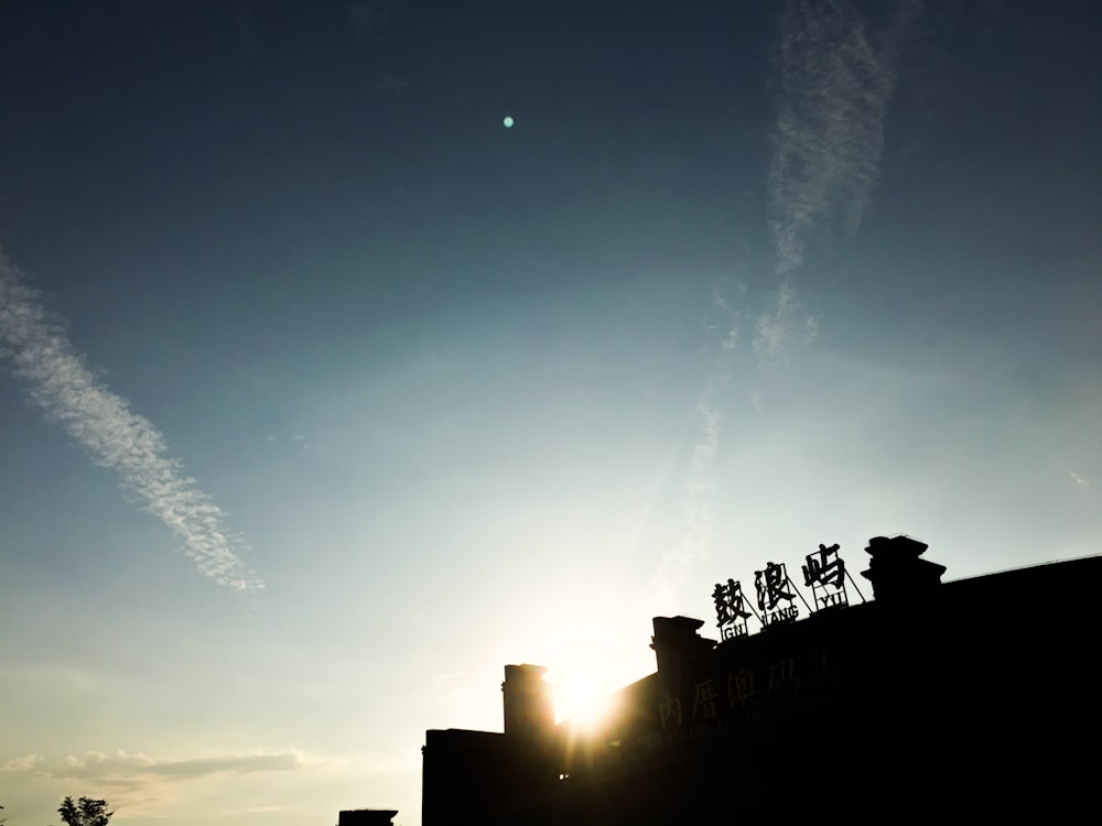 silhouette photo of building