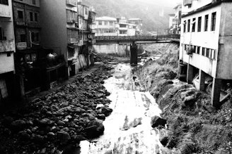 Fieldwork photo capturing water sampling in an urban river environment.