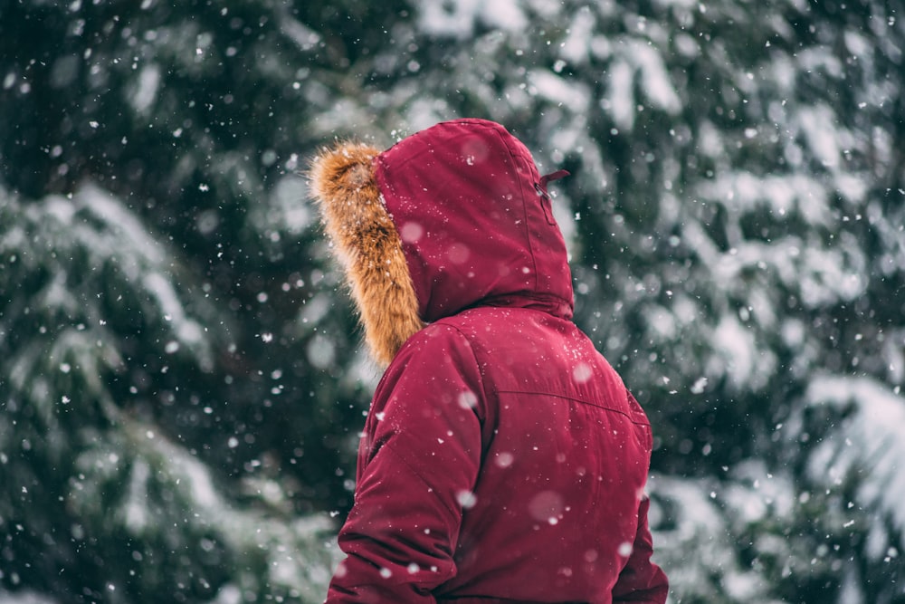 person wearing red bubble jacket