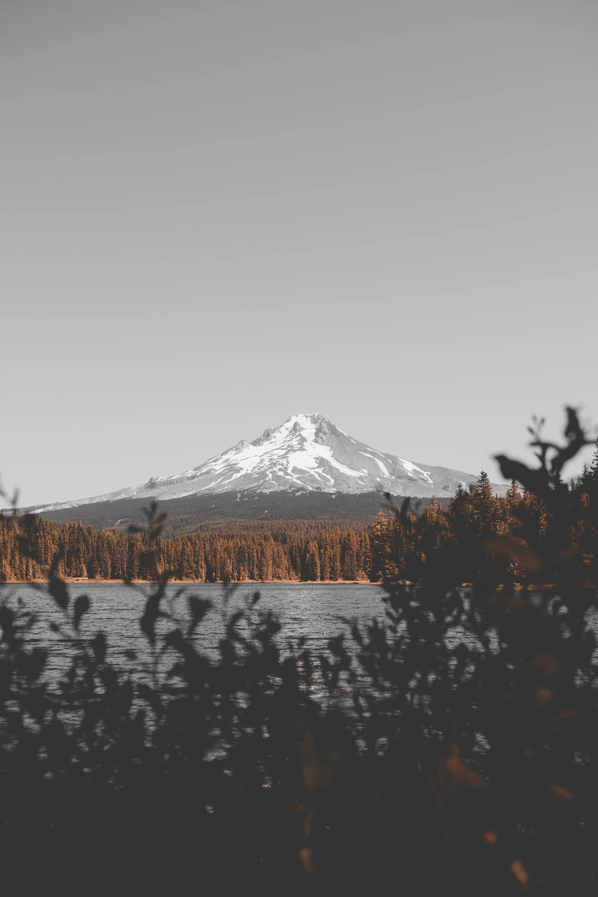 Lake near a snowy mountain range