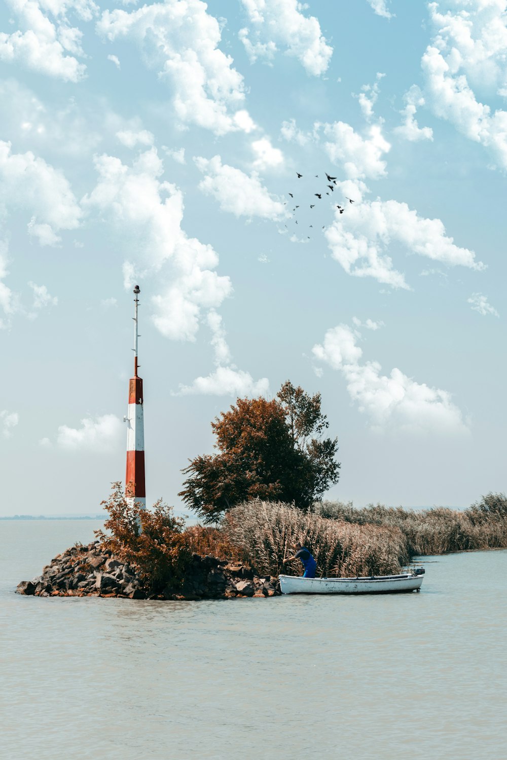 Faro rodeado de árboles y plantas