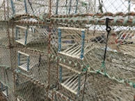 Multiple filter cages stacked, showing different sizes and designs.