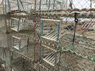 Multiple filter cages stacked, showing different sizes and designs.