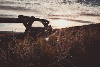 A rustic wooden fence stretching across a Texas prairie at sunset.