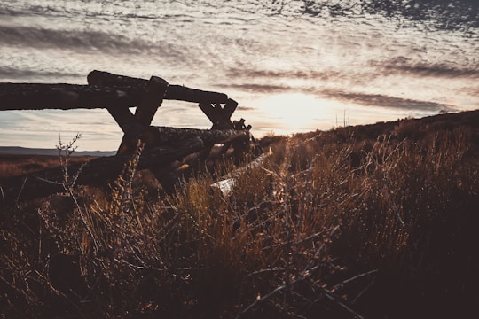 A rustic wooden fence stretching across a Texas prairie at sunset.