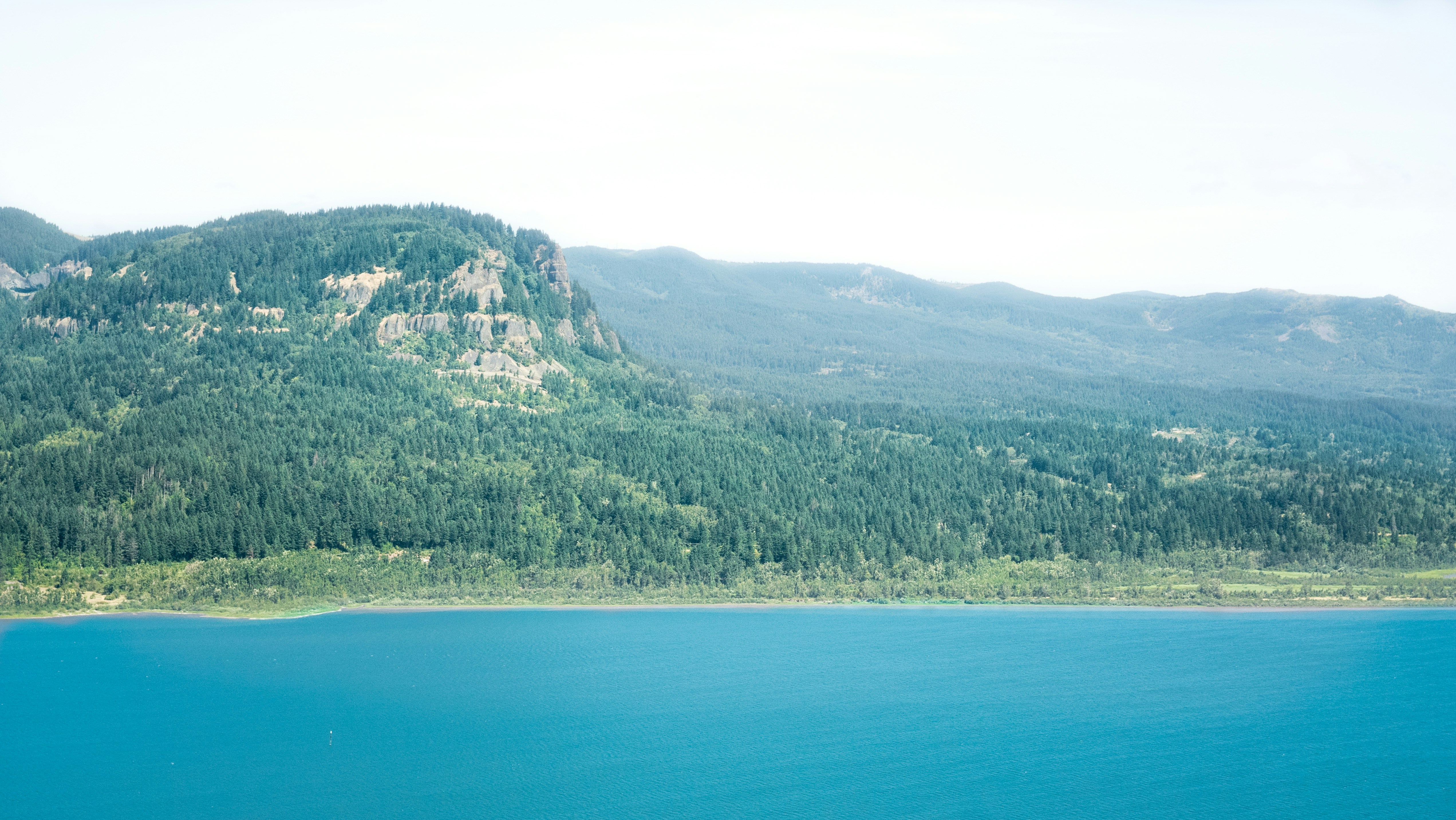 Photo by _aaronbcastillo_