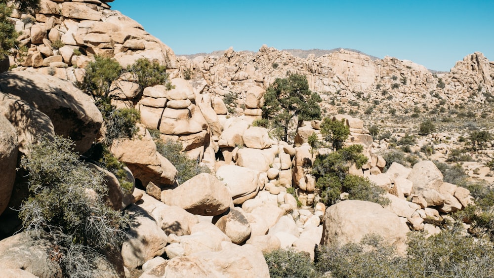 close-up photography of rock formation during daytime