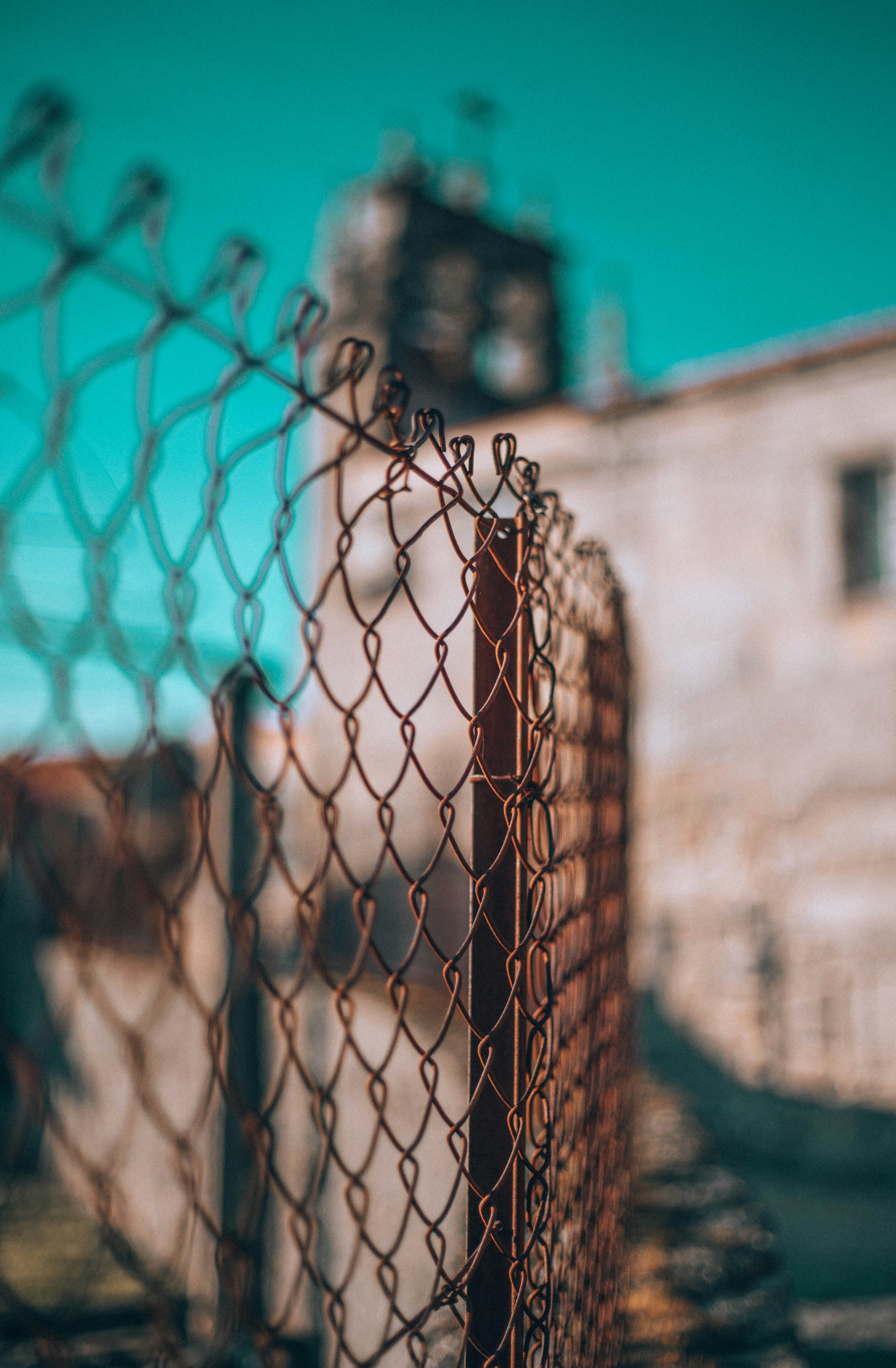 selective focus photography of link fence
