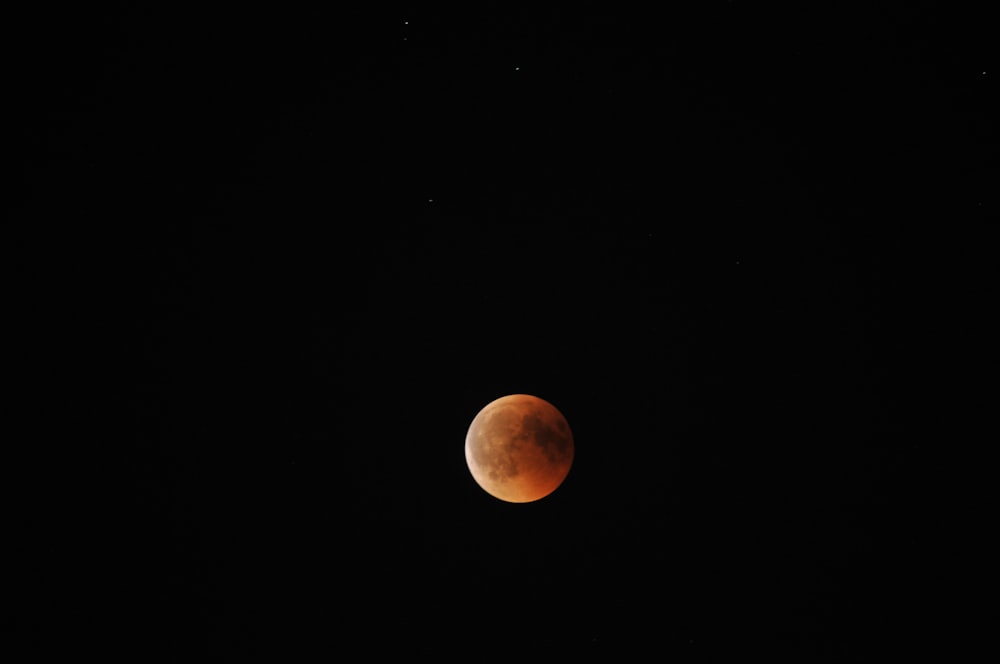 red full moon during night time