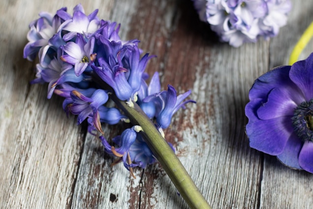 A close-up of delicate purple-hued handmade crafts arranged on a rustic wooden table.