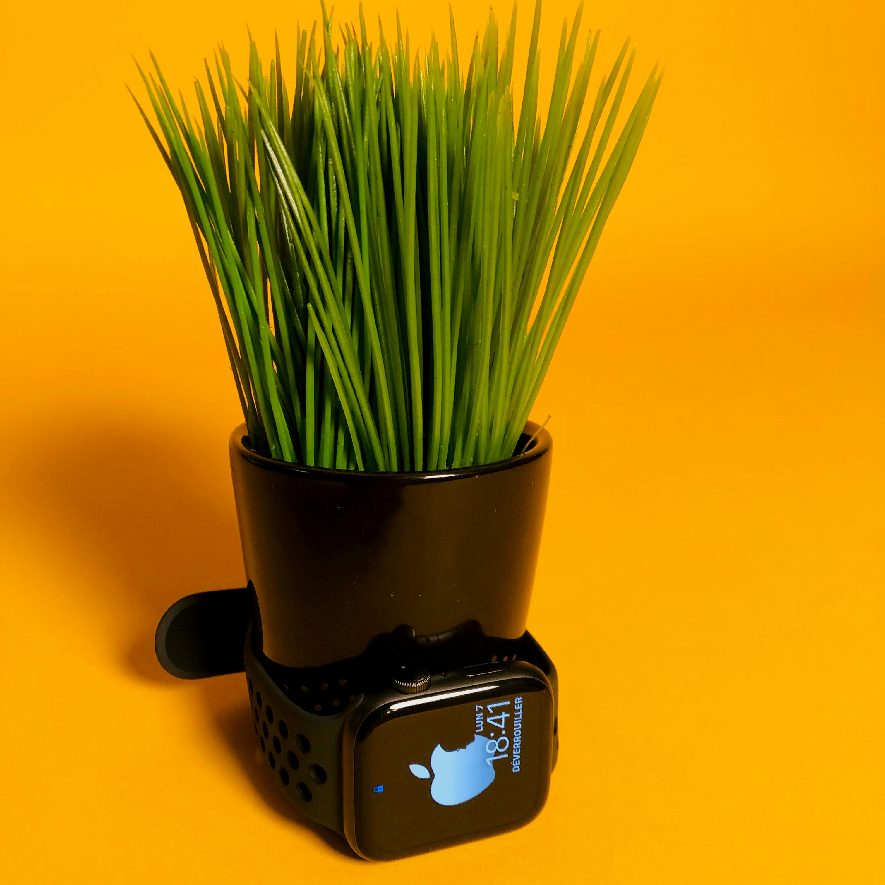 The Evolution of Microblogs and Independent Publishing in 2026: Advanced Strategies for Sustainability