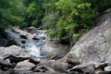 A lush, green forest setting surrounds a cascading waterfall with clear pools of water. Several people are engaging in recreational activities like climbing rocks and wading in the water, suggesting a warm, leisurely day outdoors.