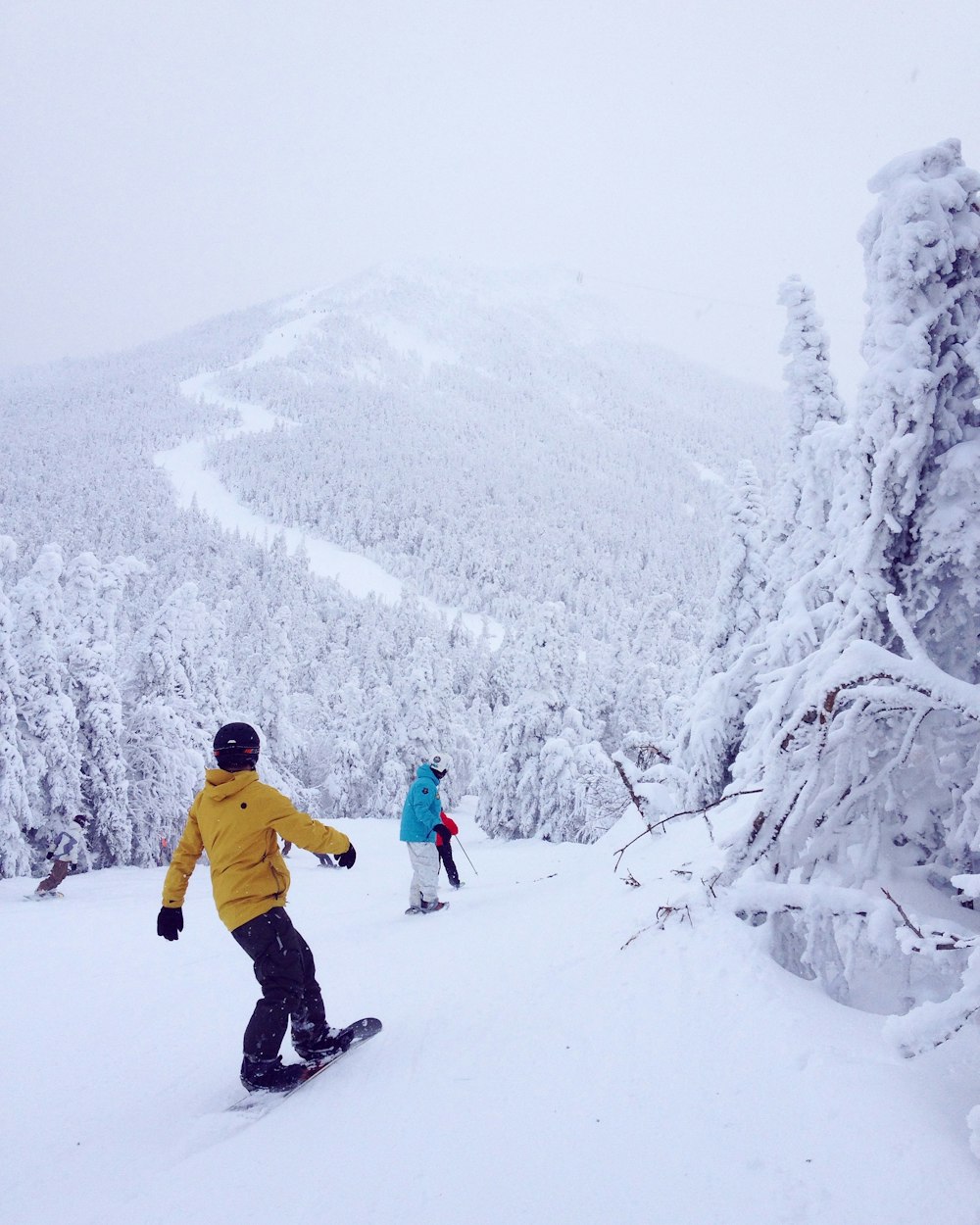 zwei Personen mit Snowboard auf dem Gipfel des Berges