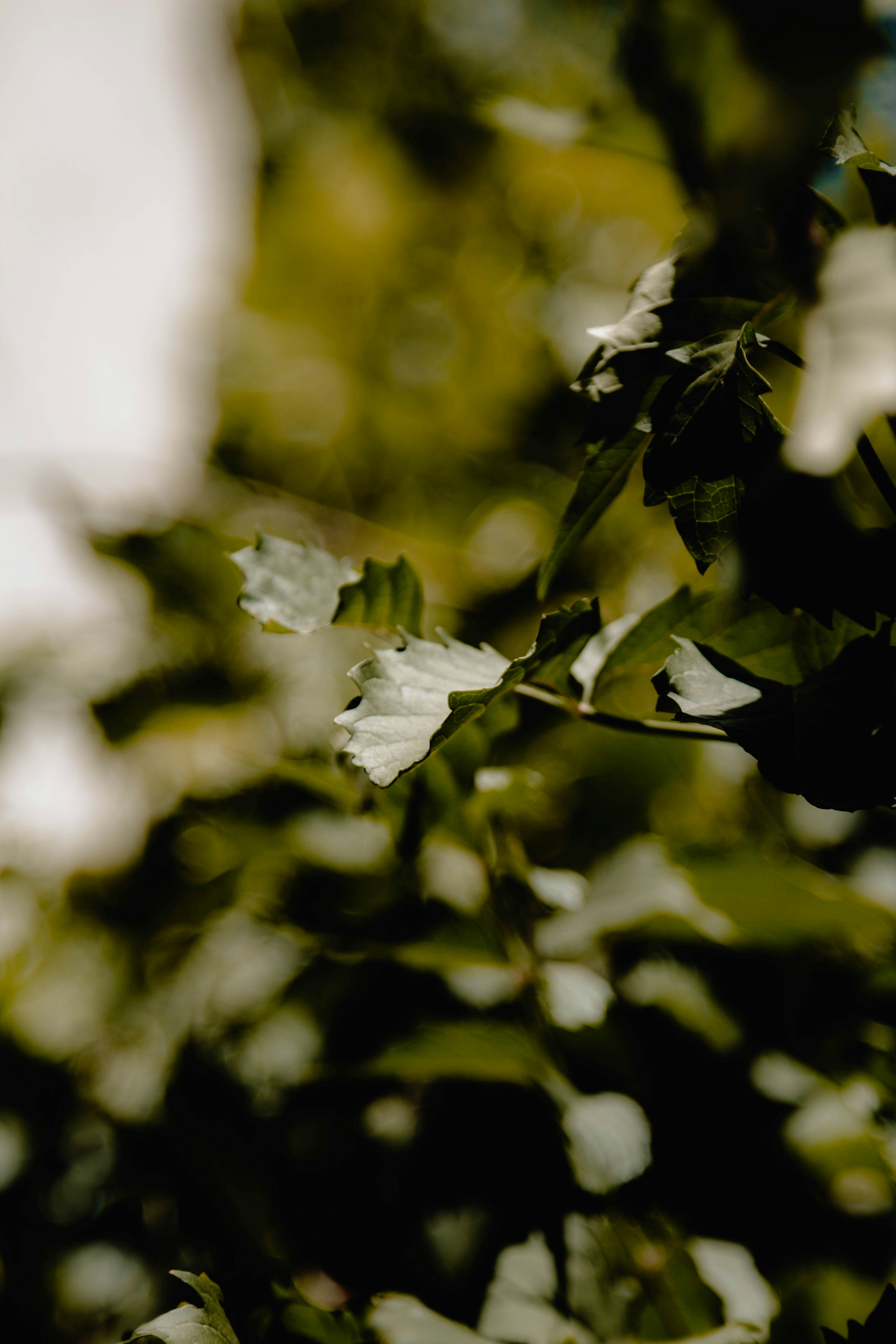 Photo by wilks_and_cookies