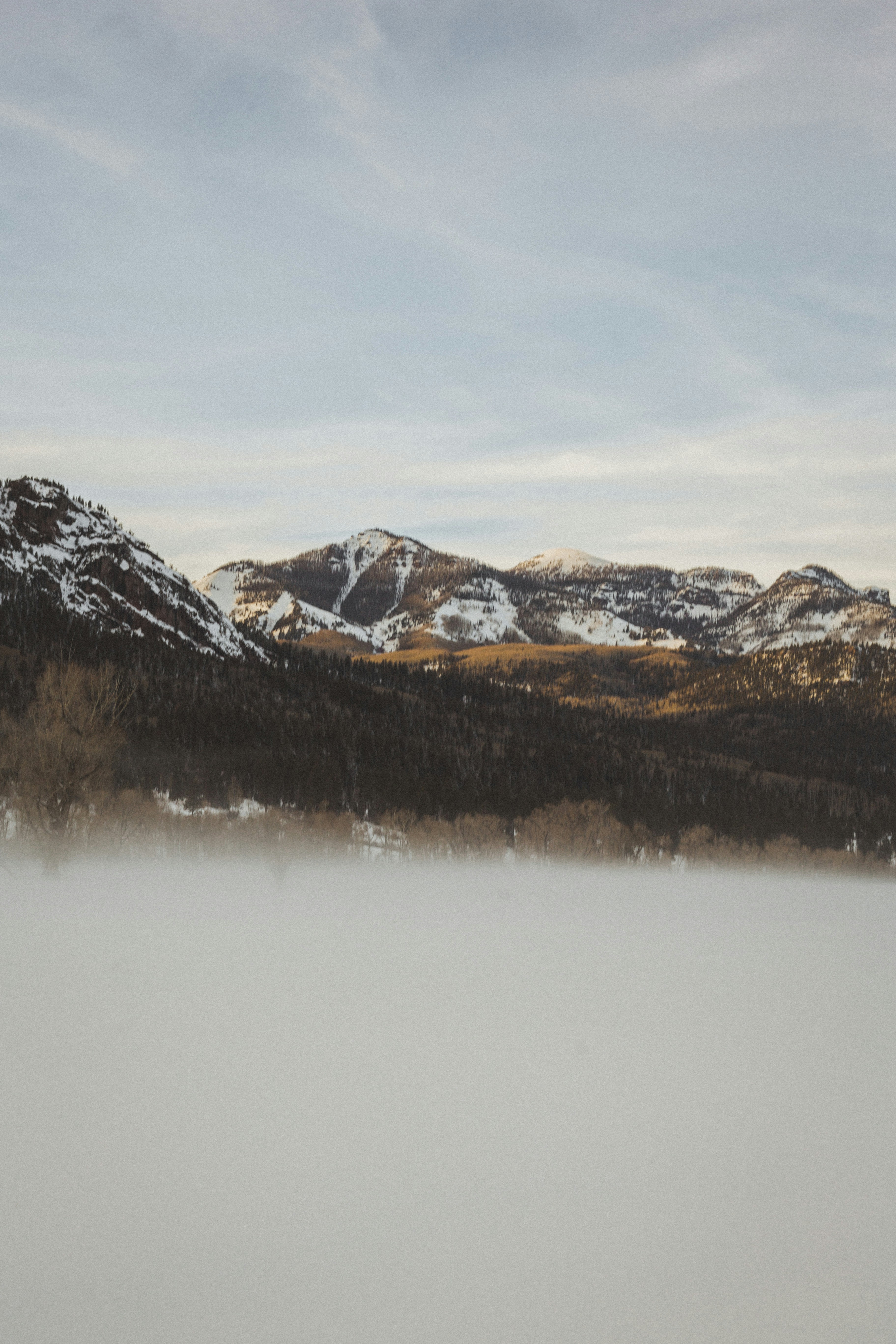 Photo by wilks_and_cookies