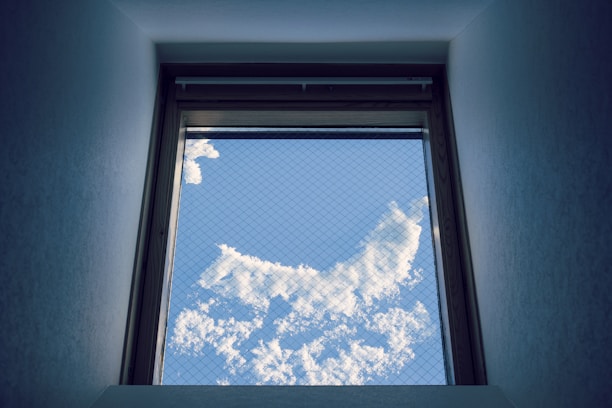 Wide shot showing a clean, pigeon-free window protected by Sukumari Safety Nets.