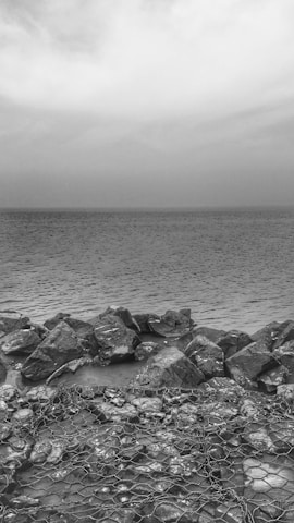 A grayscale photograph of a serene seascape featuring a rocky shoreline. The foreground is dominated by large stones covered with a wire netting. The vast expanse of the sea meets a cloudy sky at the horizon, creating a calm and peaceful ambiance.