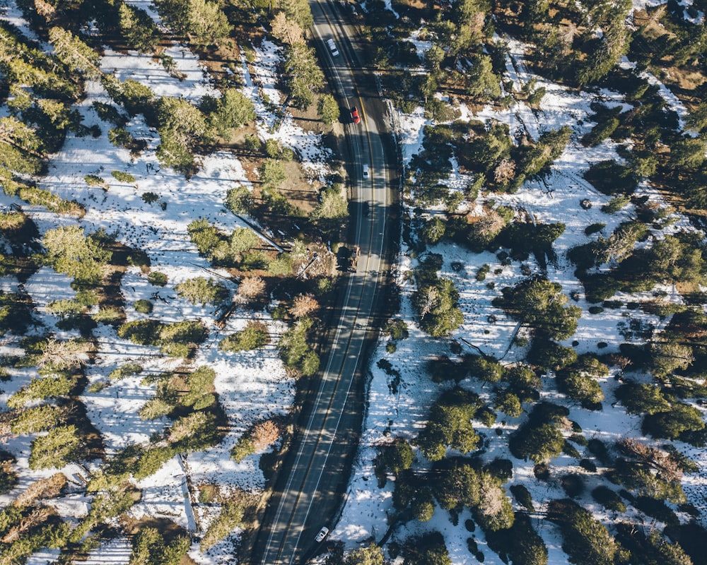 aerial photography of vehicles on road during daytime