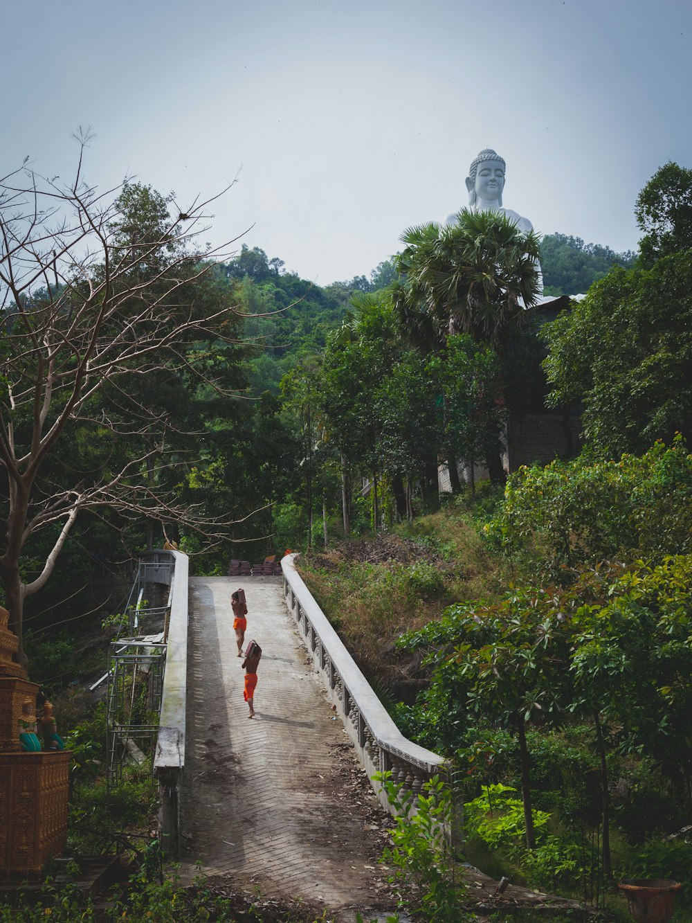 two men on bridge surrounded by trees