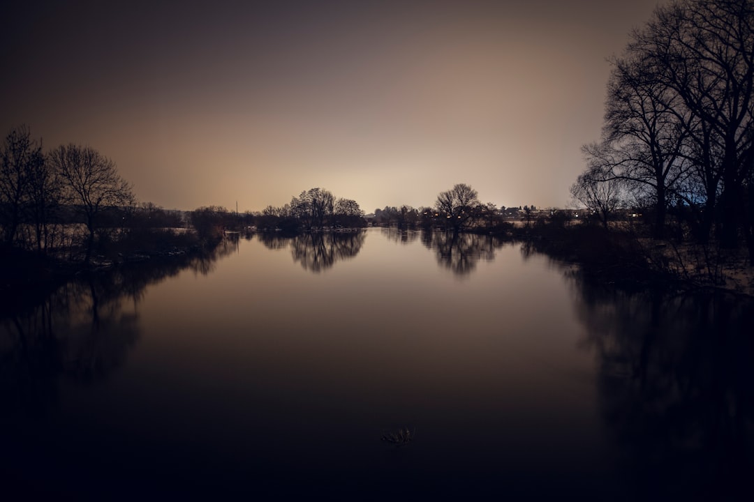 trees reflecting on calm body of water