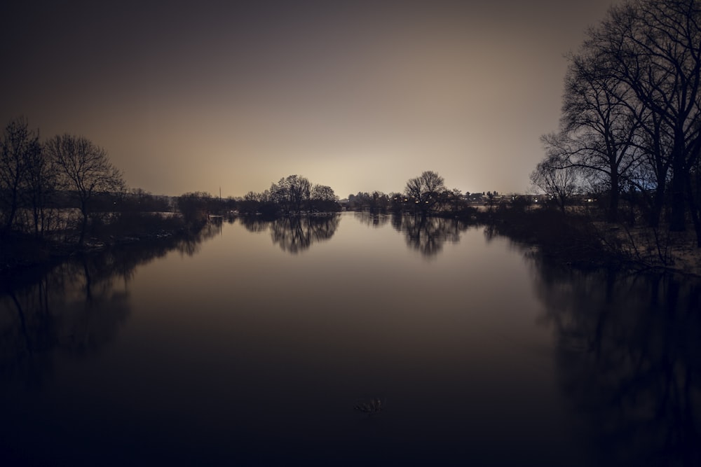 trees reflecting on calm body of water