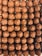 Close-up of assorted gourmet chocolates arranged on a wooden platter.