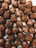 A tray filled with an assortment of chocolate truffles, each covered in a smooth layer of chocolate and sprinkled with chocolate shavings or crumbs. The truffles are arranged in a neat, grid-like pattern, creating an appealing and indulgent display.