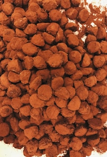 Artisanal chocolate truffles with intricate designs, dusted with cocoa powder