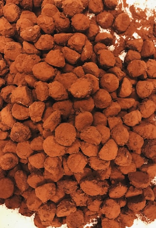 Artisanal chocolate truffles with intricate designs, dusted with cocoa powder