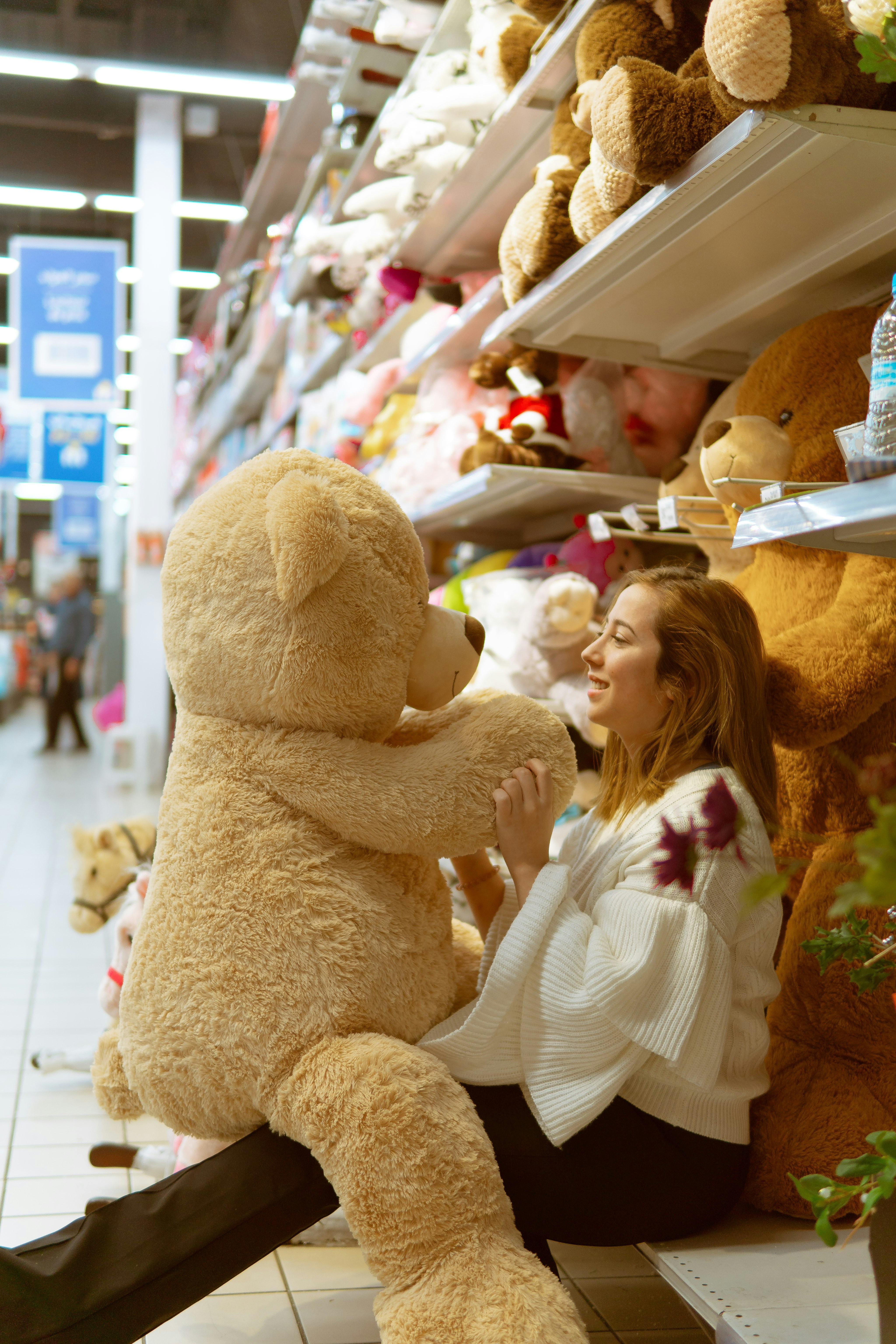 泰迪熊2电影完整版免费，泰迪熊2电影完整版免费观看