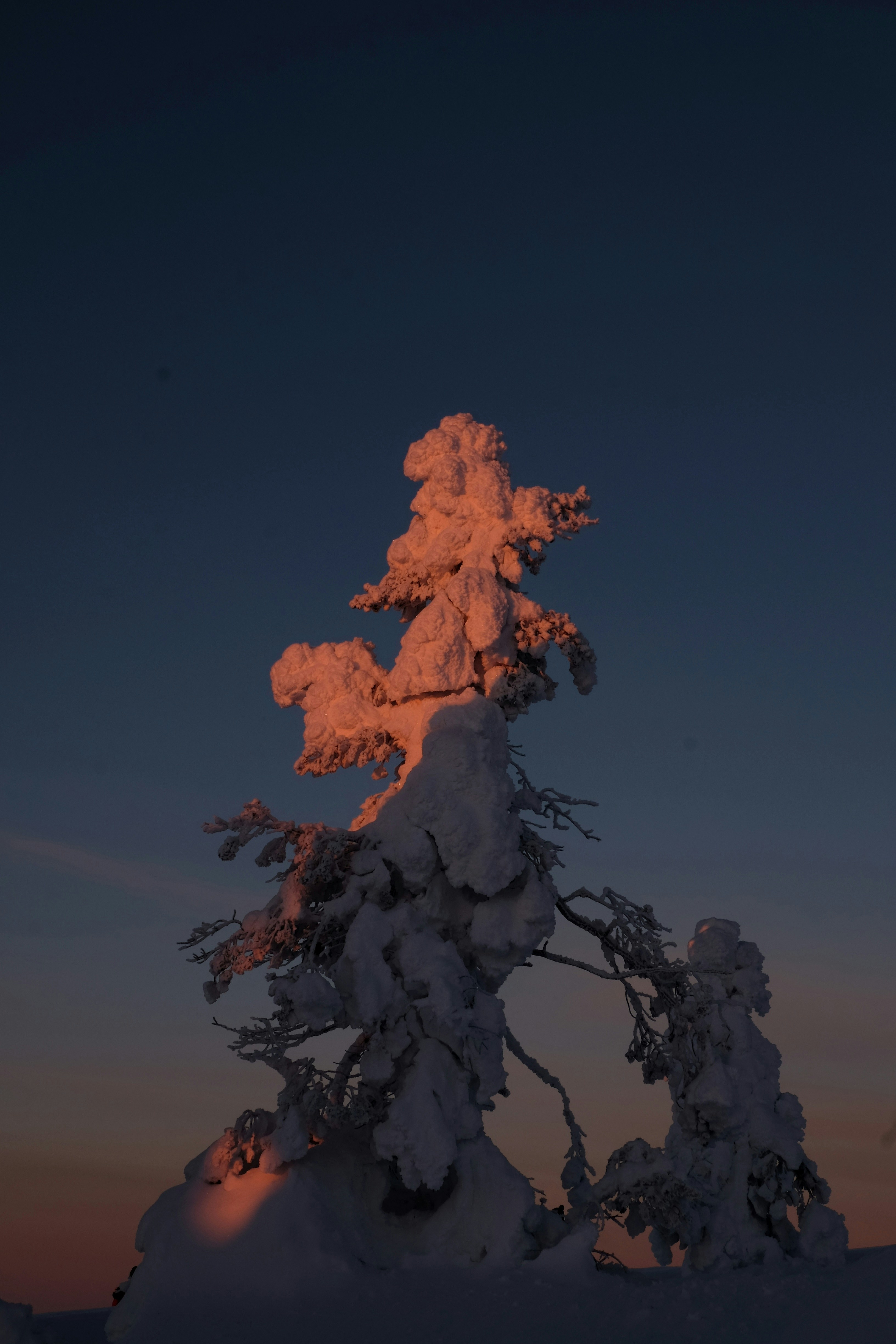 Best Android Wallpaper Pictures Download HD Images for your