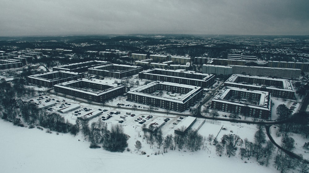 buildings covered in snow