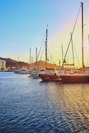 boats on harbour during daytime