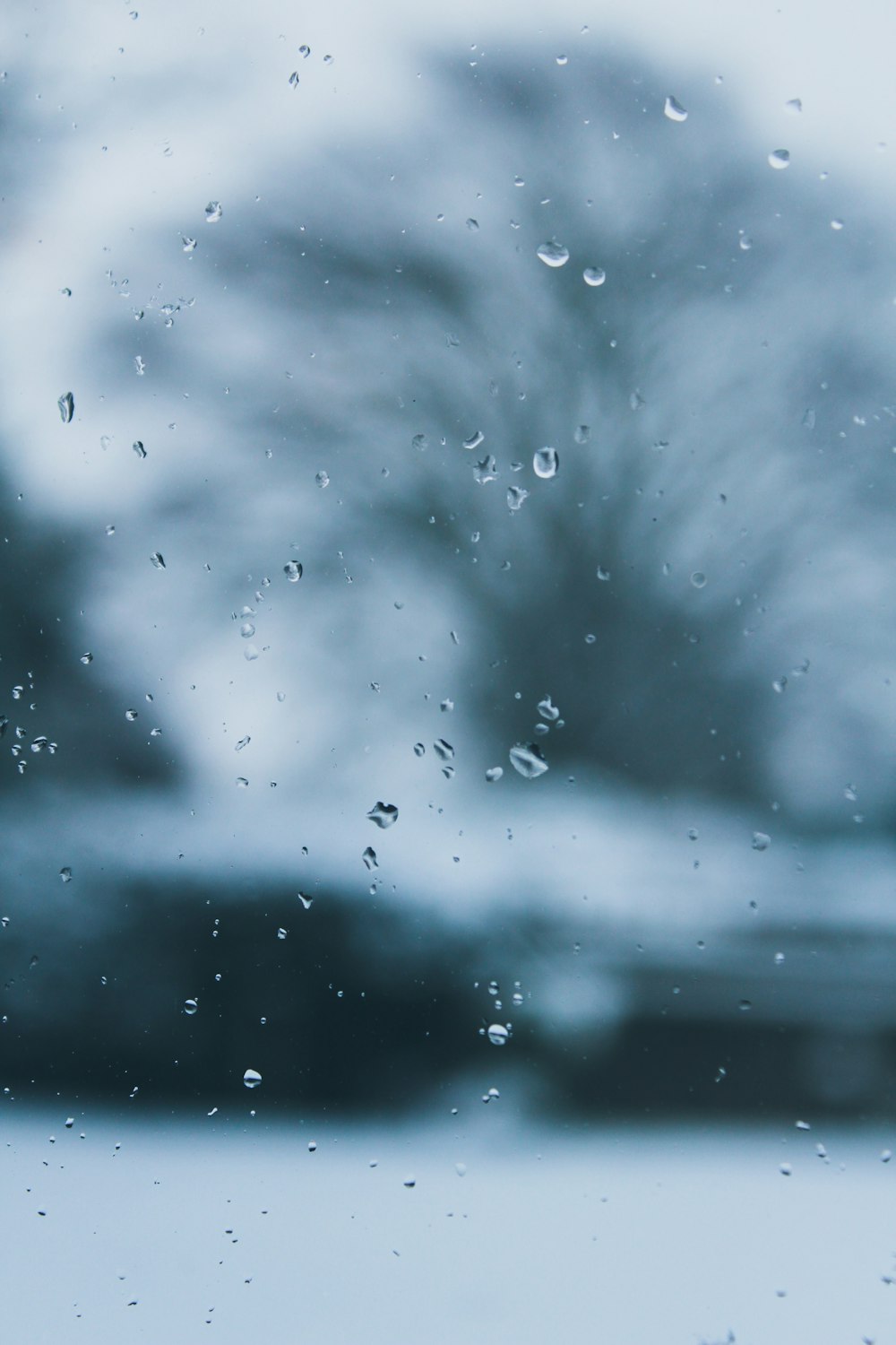 selective focus photography of dew on glass