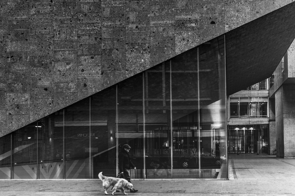 grayscale photography of man with dog